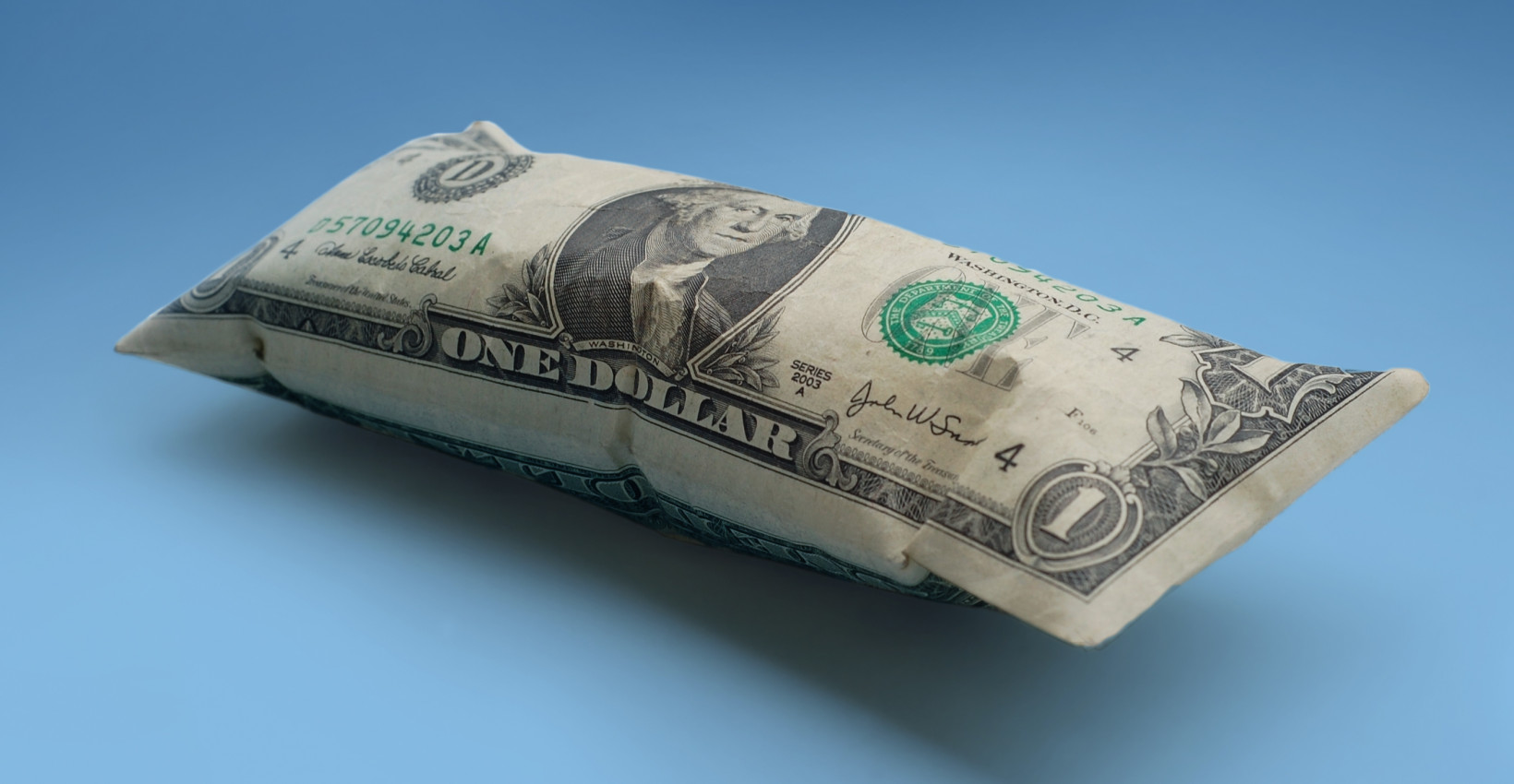 A pillow that looks like a dollar bill