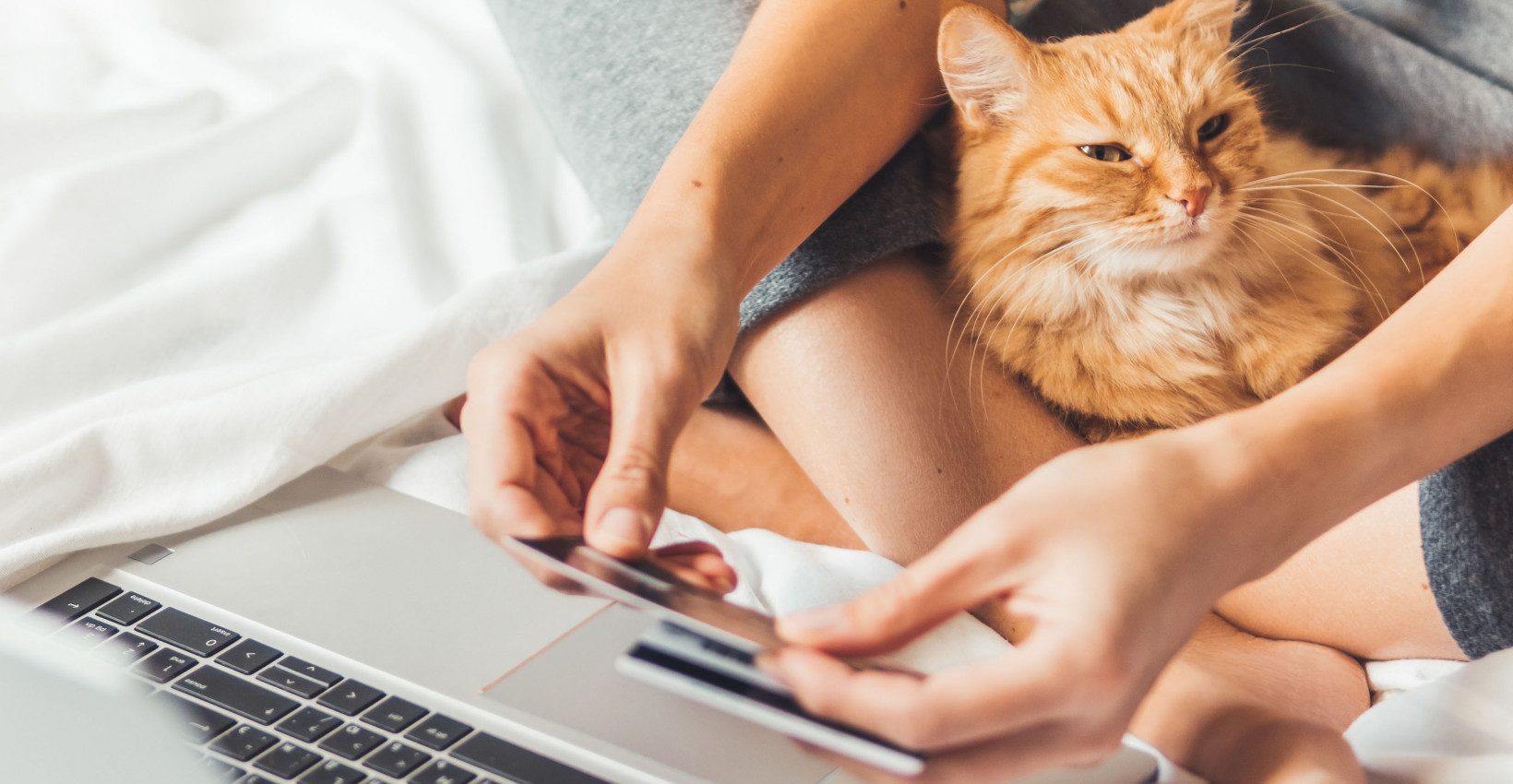 A cat sitting between the arms of its owner as they put their credit card info into a laptop. 