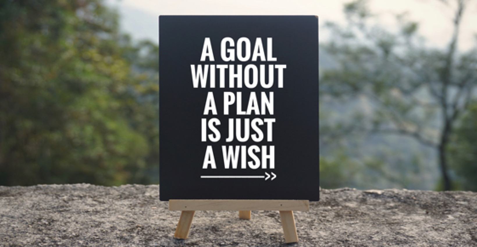 A goal without a plan is just a wish