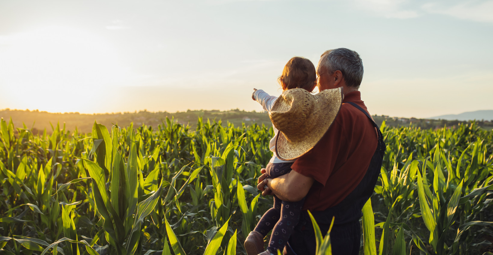 estate-planning-6-22