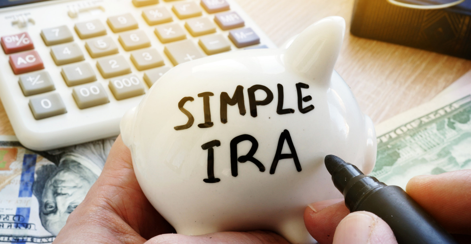 a white piggy with simple ira written in sharpie