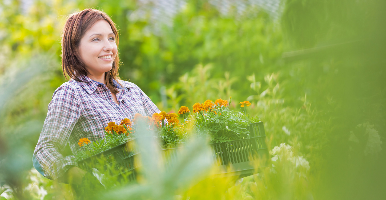 a woman carries carrots through a green field