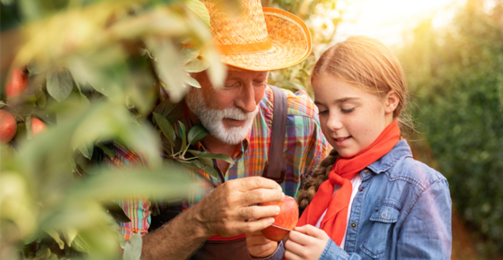 an older man stands with a young girl picking an apple off a tree