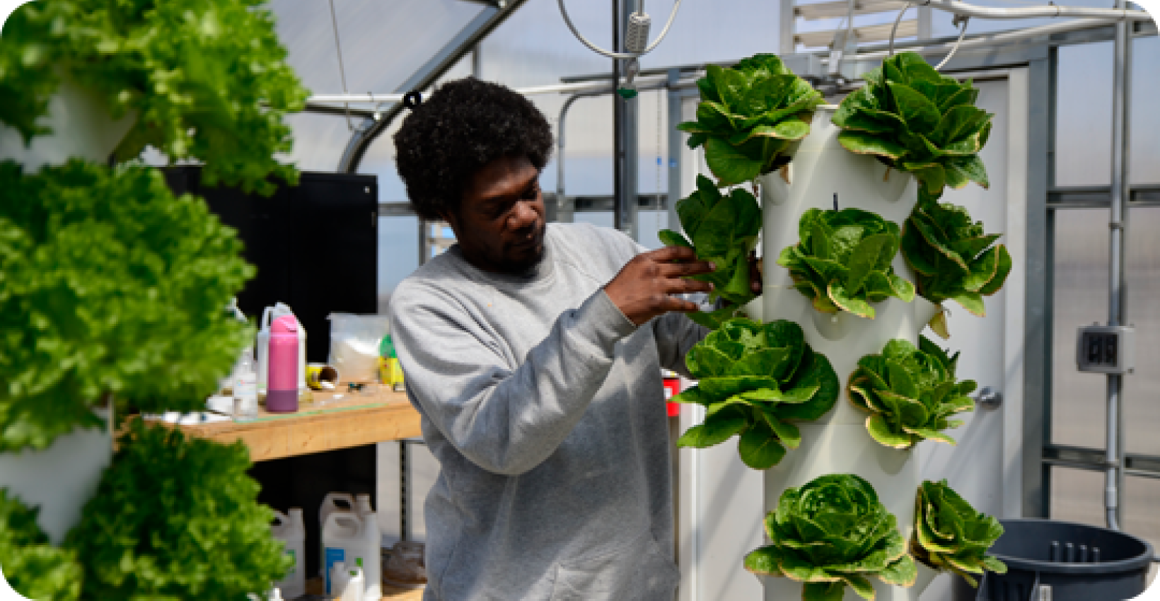a man stands next to plants growing vertically inside