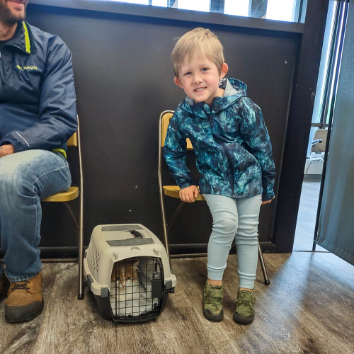 A child sitting next to a cat in a crate. 