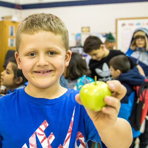 A kid holding an apple. 