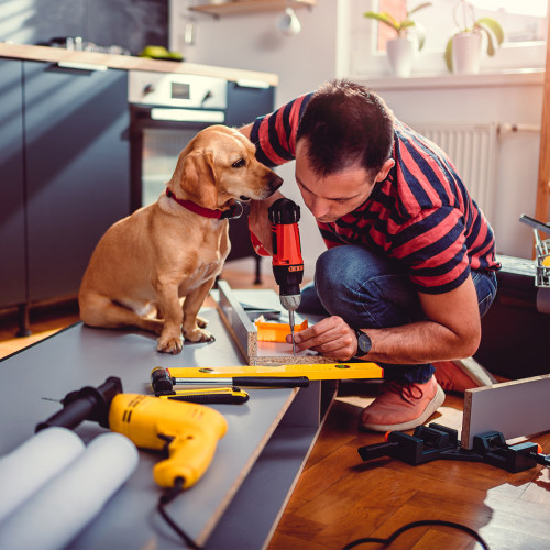 A puppy supervising his dad while he uses a power drill