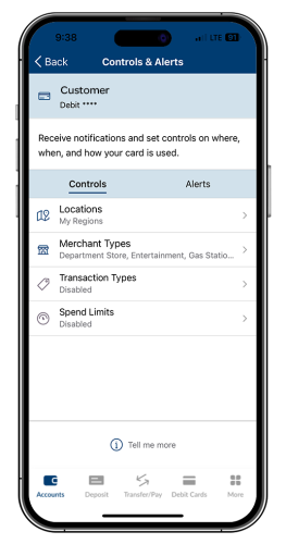 card hub controls and alerts mockup