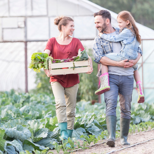 a man, woman, and girl child walk in a garden