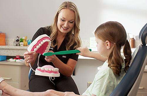 Dentist shows model of teeth to young patient