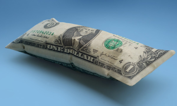 A pillow that looks like a dollar bill