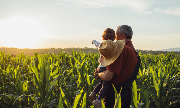 estate-planning-6-22